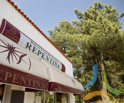 Restaurante Repentina