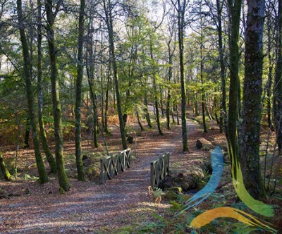 Parque Biolgico Serra das Meadas