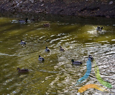 Parque Biolgico Serra das Meadas