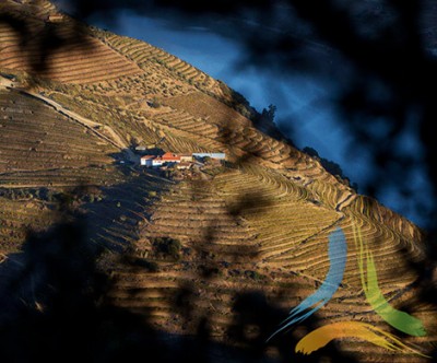 Miradouro So Leonardo de Galafura