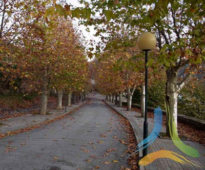 Parque das Caldas de Moledo