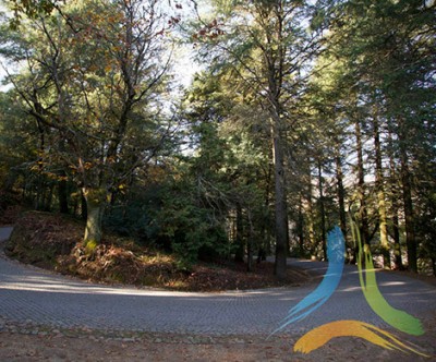 Parque Nossa Senhora dos Remdios