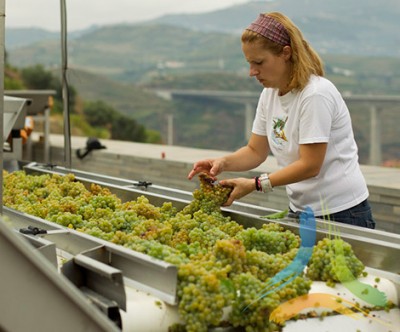 Quinta do Vallado